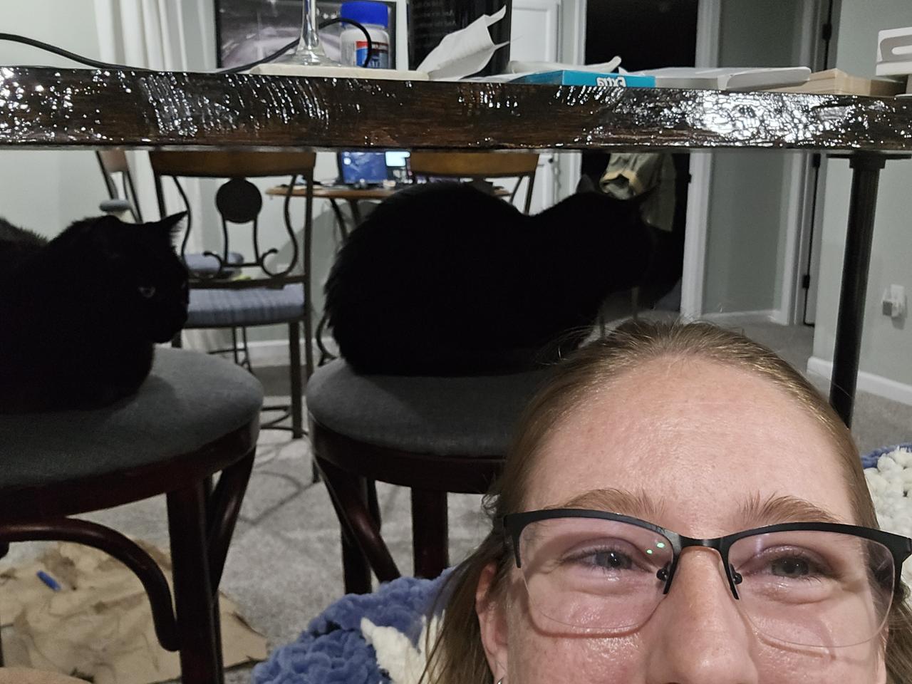 Our cats loved hanging out on Tim and Candace's barstools. Cassie smiling in front of Susie and Xena on barstools